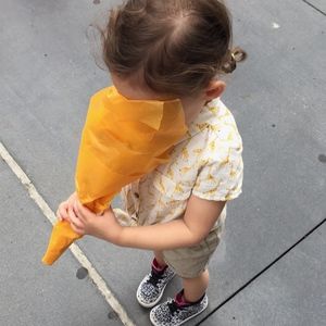 Meet your Posher, TriBeCaMama.